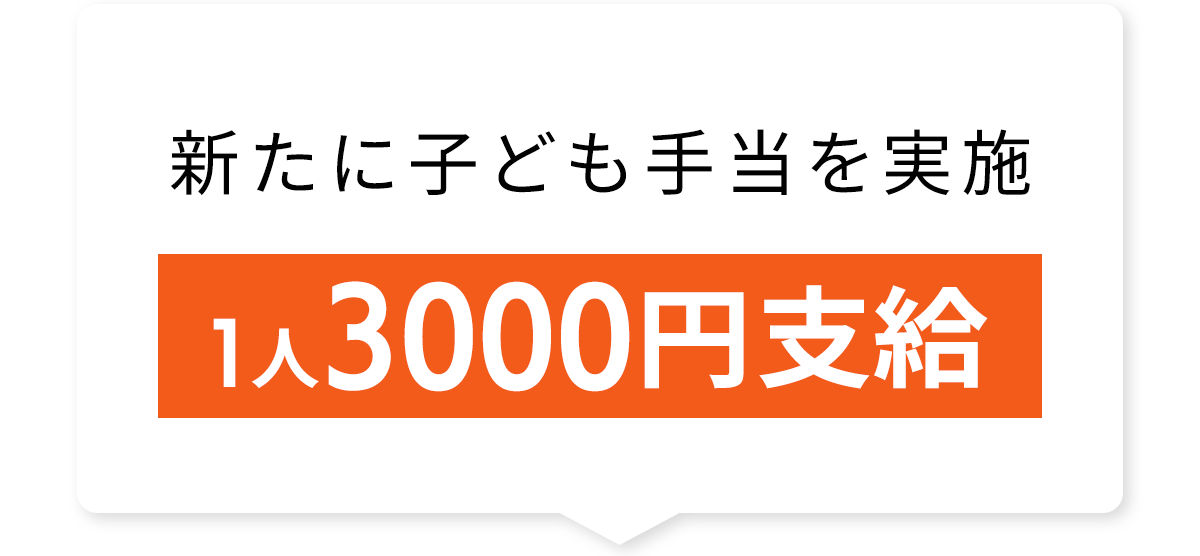 新たに子ども手当を実施1人3000円支給